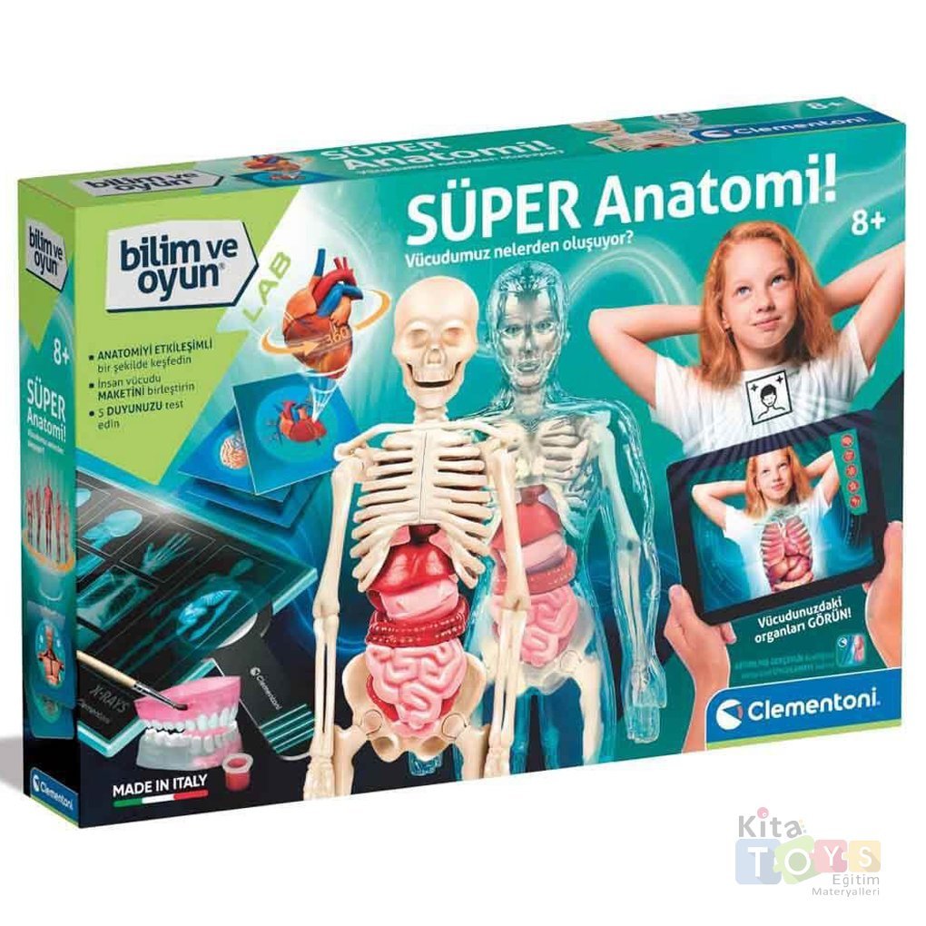 Süper Anatomi (İskelet Sistemi Maketi) Clementoni Modeli 64474