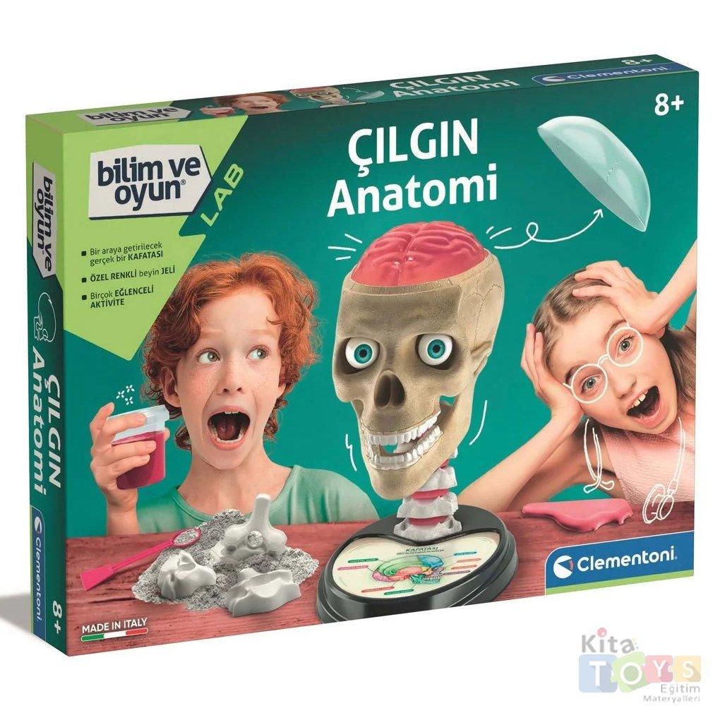 Çılgın Anatomi Modeli (İnsan Kafatası İskelet Sistemi Maketi) 64322