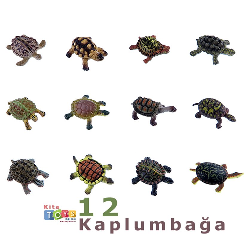 Kaplumbağalar Seti 12Adet Oyuncak Hayvanlar