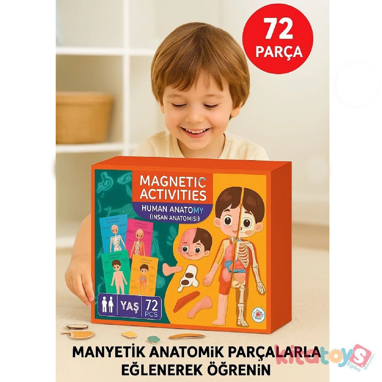 Manyetik İnsan Anatomisi Aktivite 72 prc (Organlar-İskelet-Vücut)