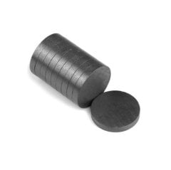 40'Lı Düz Yuvarlak Mıknatıs 10 mm (Eğitim Deney Malzemesi)