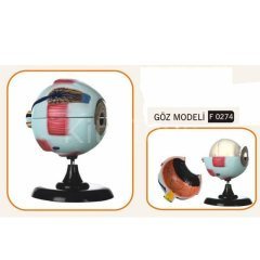 Göz Modeli (Fen ve Doğa Malzemeleri)