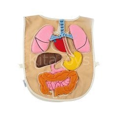 Organ Önlüğü (Kumaş Önlük)