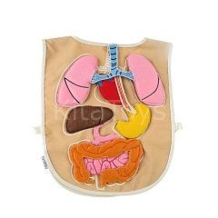 Organ Önlüğü (Kumaş Önlük)