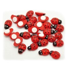 Ahşap Uğur Böceği Sticker 20 ADET (Etkinlik Malzemesi) 18 mm