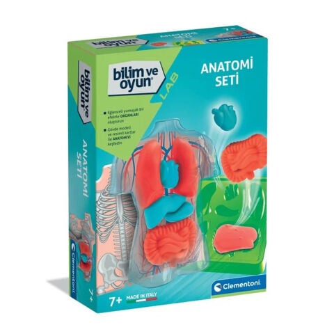 İnsan Anatomi Seti (İç Organlar Modeli-İskelet Sistemi) 64742 Maketi