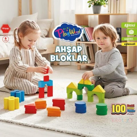 Renkli Ahşap Bloklar-Kutuda 100 Parça Playwood 417