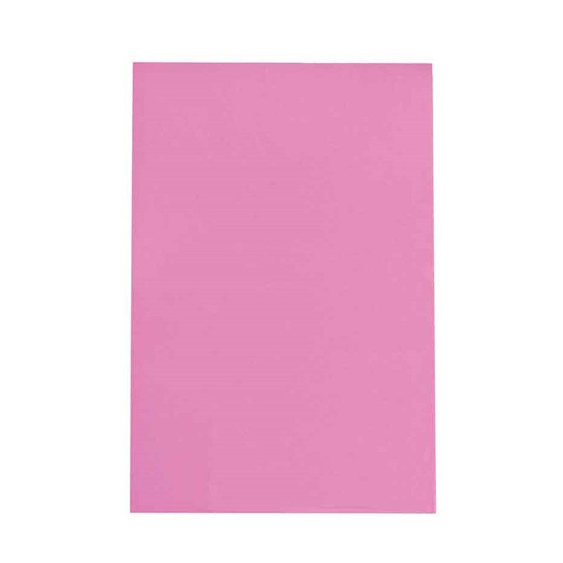 Eva TEK RENK 20x30 cm 10'Lu Klasik Pembe