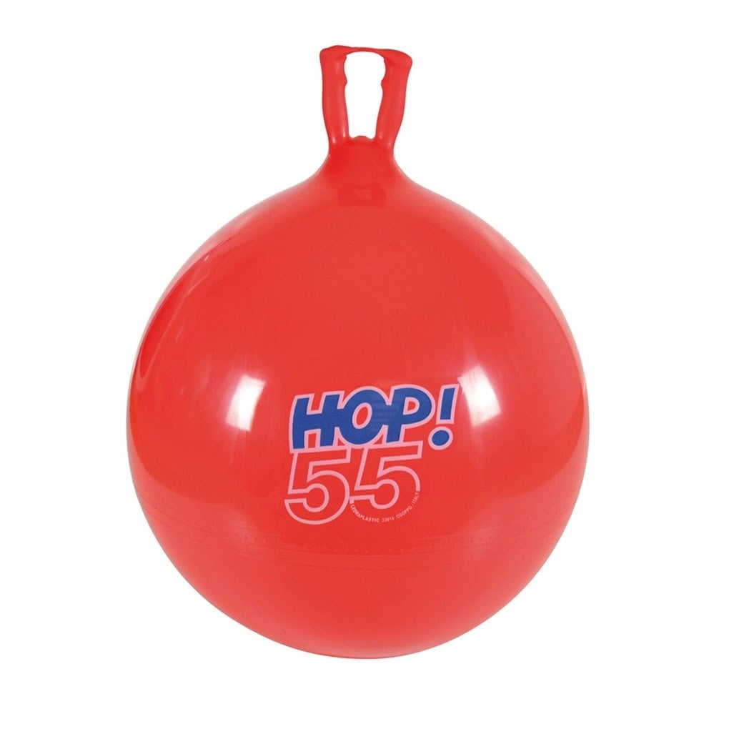Gymnıc Hop Zıp Zıp 55 cm | Anaokulu Spor Malzemeleri Kitatoys.com'da.