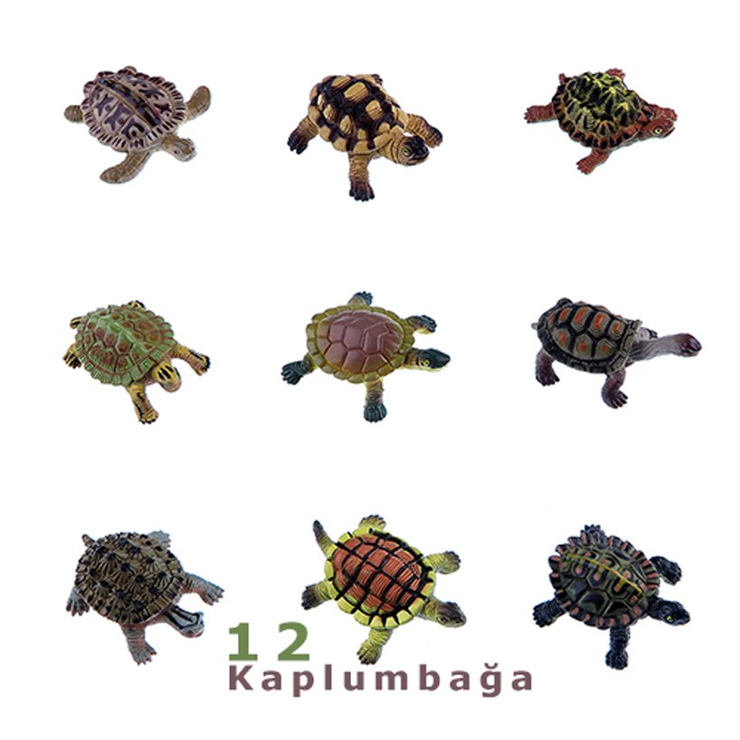 Kaplumbağalar Seti 12Adet Oyuncak Hayvanlar