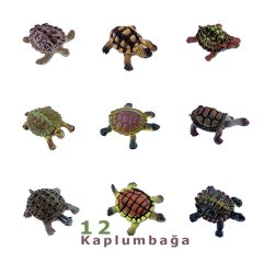 Kaplumbağalar Seti 12Adet Oyuncak Hayvanlar