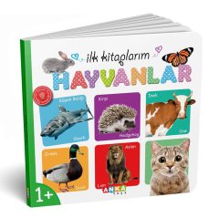 İlk Kitaplarım 6 Lı Set 7202