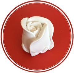 Alçı Boyama Seti 4'Lü (Taş Objeleri) 2 Sanat Faaliyeti