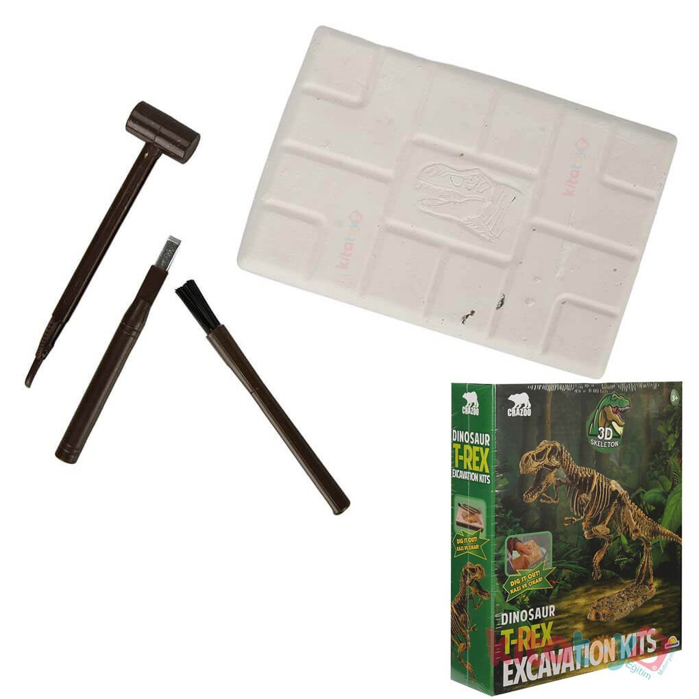 Fosil Kazı Seti 3D (Figürlü Dinozor T-Rex)