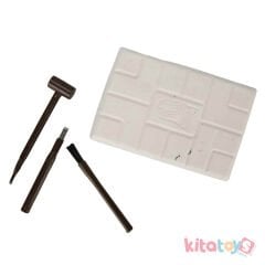 Fosil Kazı Seti 3D (Figürlü Dinozor T-Rex)